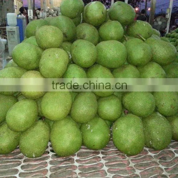 Fresh Jack Fruit