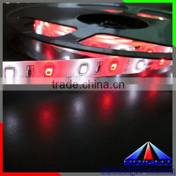 Two Color Whtie Red SMD 2835 LED Strip Light photo-5
