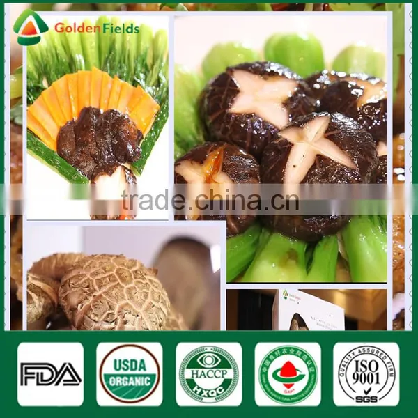 Mushroom Fungi China Wholesale Fresh Dried Organic Edibal Shiitake Mushroom photo-6