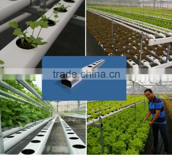 Vegetable Greenhouse Hydroponic Systems