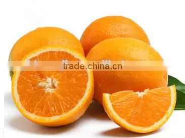 Lemon Squeezer Stainless Steel photo-5
