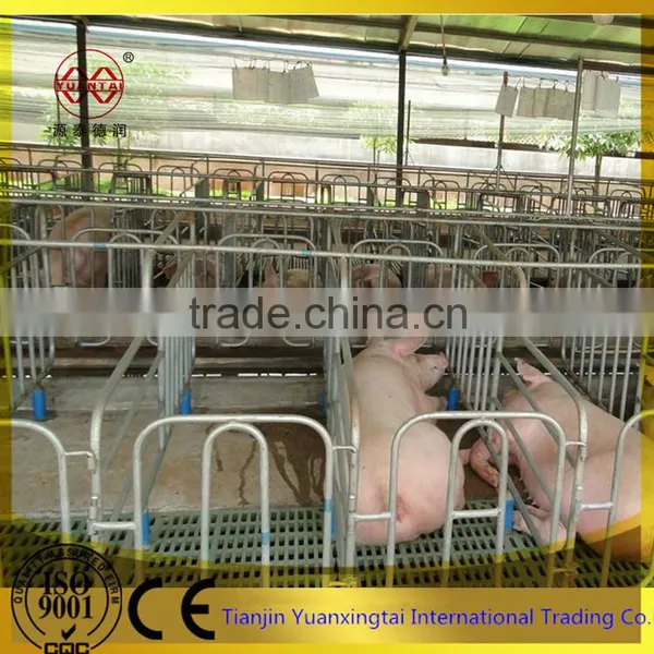 Animal Cage for Pig Farm Farrowing Pen/steel Pipe photo-3
