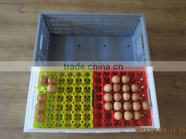 30 Holes Plastic Egg Tray for Packing and Transportation 30*30*5 cm Plastic Egg Tray for Sale photo-6