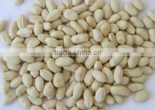 High Quality Roasted Peanuts photo-2