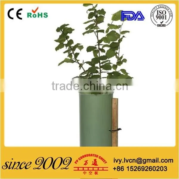 Folding Corrugated Plastic/Coreflute Tree Guard photo-4