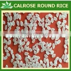 JAPONICA RICE - Sales4@ Vinarice.vn + 84 1268877137 photo-3