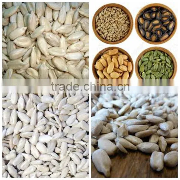 Sunflower Kernels Sunflower Seeds Kernels photo-3