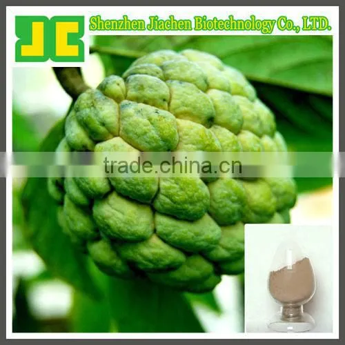 100% Natural Botanical Extracts Graviola Extract