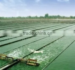 Spirulina Powder photo-2