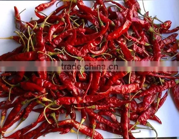 Exporters of Premium Grade Dried Red Chilli for Worldwide Importers photo-6