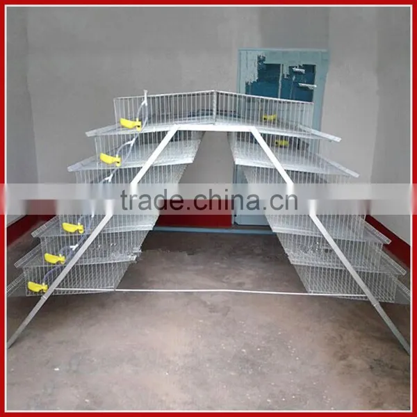 Layer Assemble Quail Cage with assembling tools For Sale