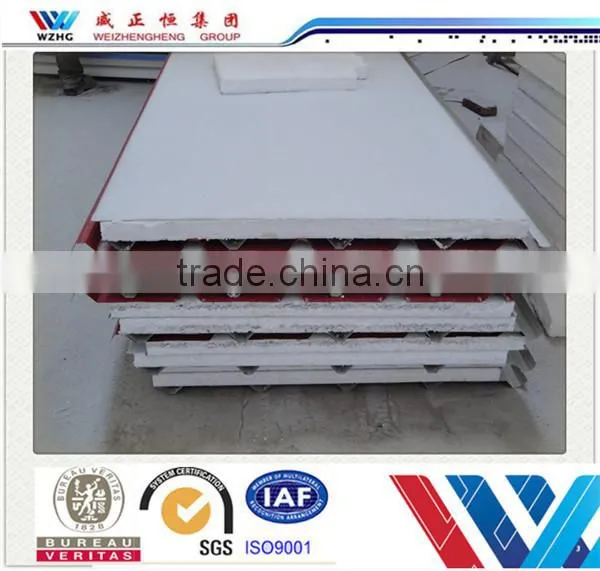 Hot Sale Double Swing Sanwich Panel Doors /Cleanroom Panel Door /Single Swing Entry Door photo-6