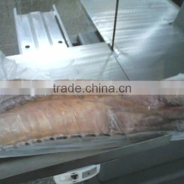Vacuum Packing Machine photo-5