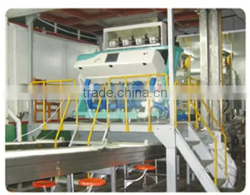 Peanut CCD Color Sorter Line
