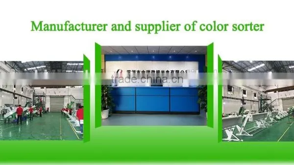 ZRWS High Quality Xinjiang Wheat Color Sorter With Competitive Price photo-6
