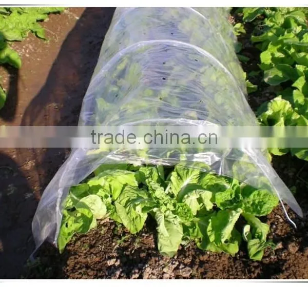 High Quality Greenhouse Film, UV Protection Agricultural Film, Low Price Agricultural Membrane photo-2
