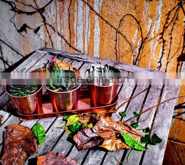 Metal Planters Set Metal Flower Pot Set With Tray for Home Decor photo-2