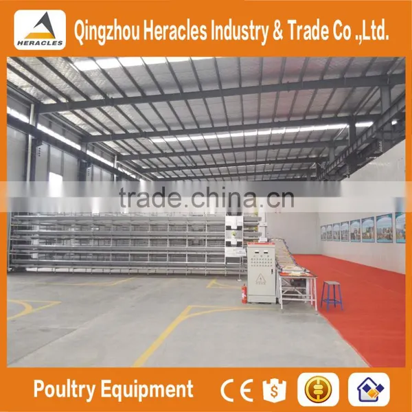 Heracles Company Price A Type Bird Cage--poultry Cage Layer Chickens photo-3