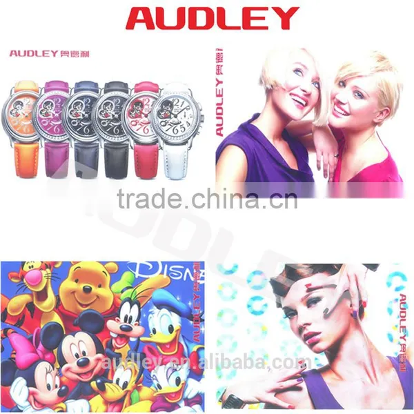 Audley S8000 Professional Factory 2400dpi Large Format Vinyl Plotter With DX5 Head photo-5