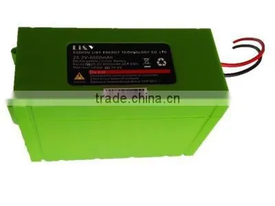 Rechargeable 24V 8AH Lithium Battery for Power Tool