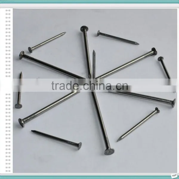 Factory Manufacturer Wire Carbon Iron Common Nail photo-2