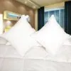 5% Down Cushion photo-2