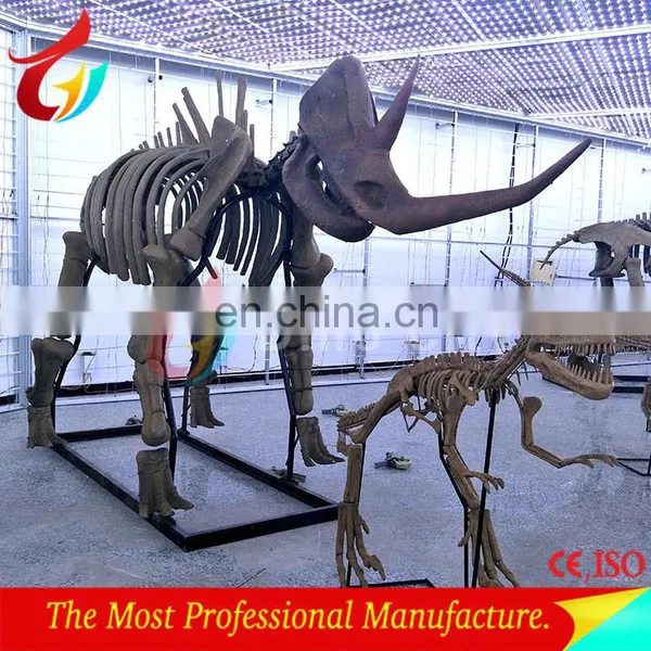 3m Length Life Size Fibrglass Realistic T-rex Dinosaur Fossils photo-5