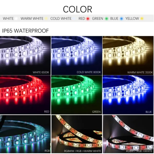 DC12V 5M LED Strip 5050 RGB,RGBW,RGBWW 60LEDs/m Flexible Light 5050 LED Strip RGB White,Warm White,Red,Blue,Green photo-4
