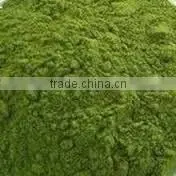 Organic Moringa Leaf Powder for OEM Manufacturing