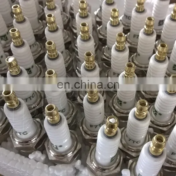 Spark Plug For BS120 BS160 BS200 BS240 BS270 BS340 BS390 Generator Lawnmower photo-3