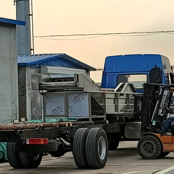 Dates Processing Machine Industrial Brush Washing Fruit Vegetable Washer Machine 