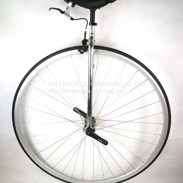 Unicycle Aluminium Alloy Road Unicycle 40 photo-2