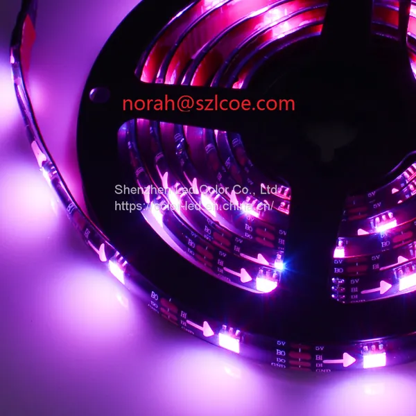 Addressable Smart 5V LC8813 LED Strip Lights Dream Fullcolor Running Changing Color IP65 Waterproof Led Strip photo-3