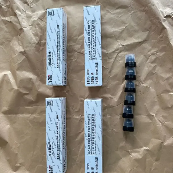 CUMMINS INJECTOR 3013725 3054213 3054218 3054216 3053126 3053124 3052255 photo-4