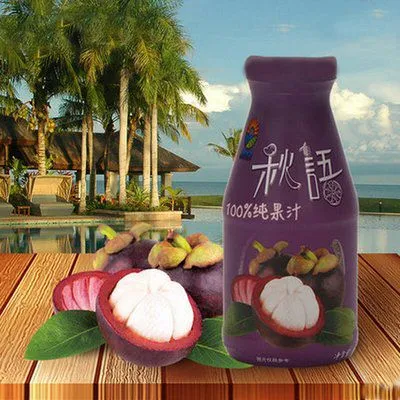 Mangosteen Juice Processing Machine Line