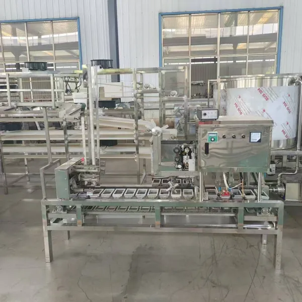 Fully Automatic Boxed Tofu Machine, Small in Size and Flexible to Use, Automatic Box Sealing and Coding Equipment for Soy Products photo-4