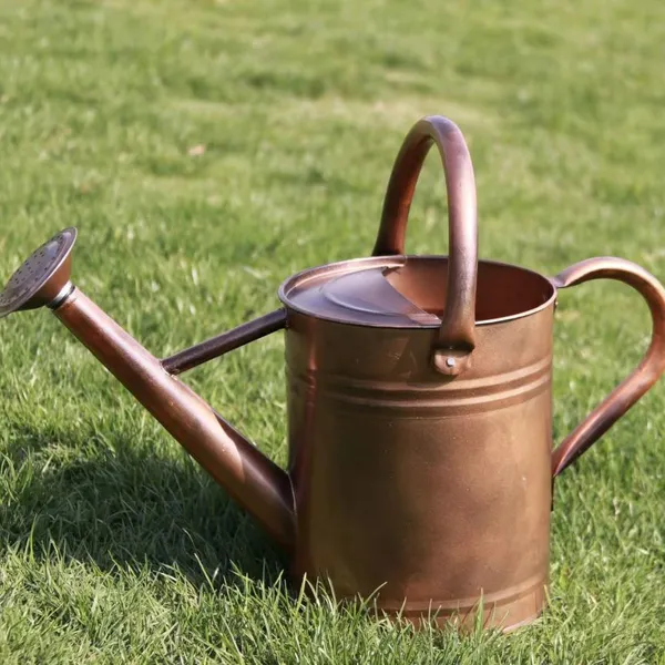 Watering Can photo-4