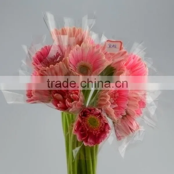 Fashion Honey Pink Gerbera Daisy photo-6