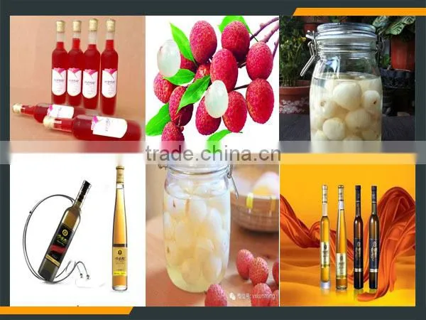 Leader Hot Sales High Quality Lychee Denucleating Machine at a Low Price photo-5