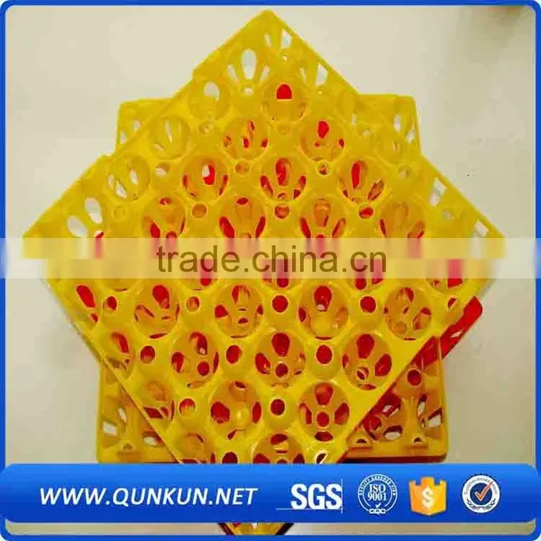 Multifunctional Hot Sales Plastic Eggs Tray New photo-4