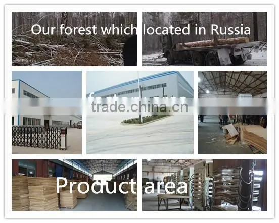 Poplar Birch Wooden Bed Slats E0 E1Grade Wooden Bed Slats FSC CARB Certification photo-5