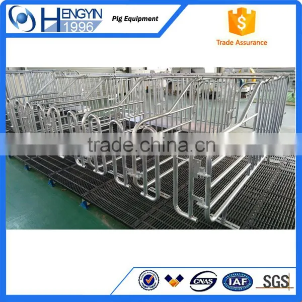 Pig Farm Pen Sow Gestation Crate photo-4