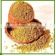 FENUGREEK SEEDS