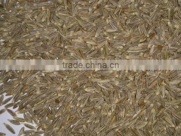 Cumin Seed Singapore Quality New Crop 2016 photo-4