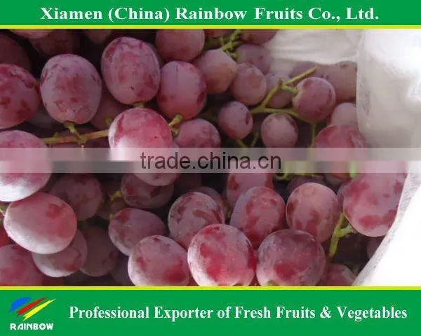 Top Quality Fresh Sweet Yunnan Red Grapes for Sell With POP SGV Brand photo-6