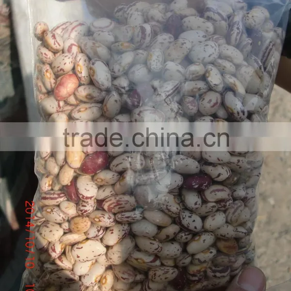 HIGH-PURITY ROUND SPECKLED KIDNEY BEANS FROM CHINA photo-2