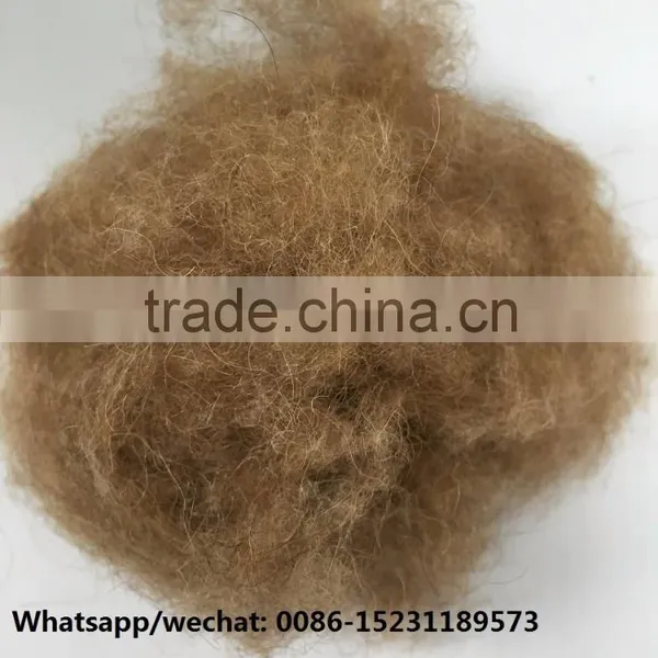100% 18.5mic, 19.5mic,22mic Dehaired Camel Hair Good Use for Quilt Making