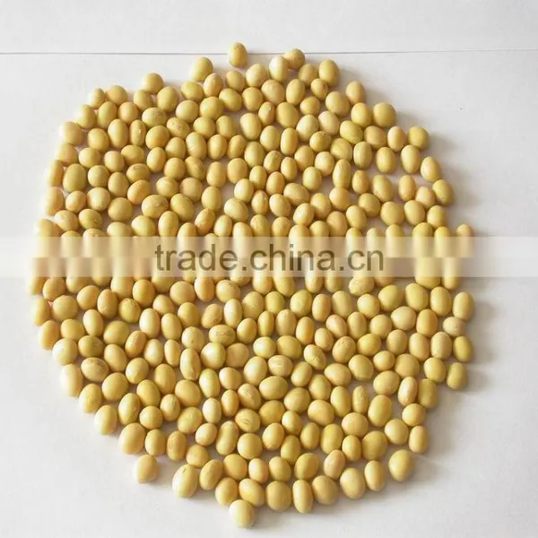 JSX organic soybean kernel chinese good quality polisher soya beans