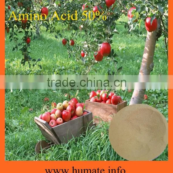 Amino Acids Complex Vegetable Source Amino Acids 50% Powder photo-2