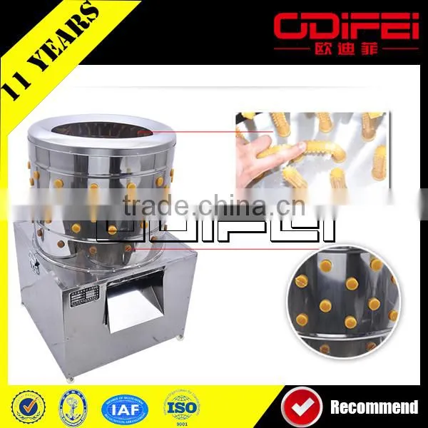 Poultry Processing Profession Automatic Poultry Equipment Price photo-2